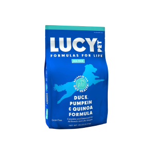 Duck pumpkin & quinoa